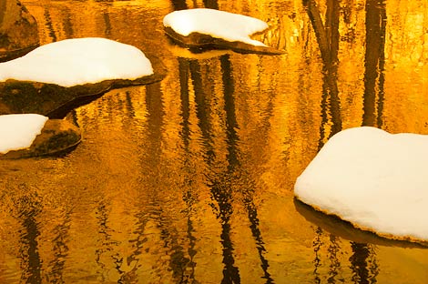 photo: still water looks like gold in the light of the sun