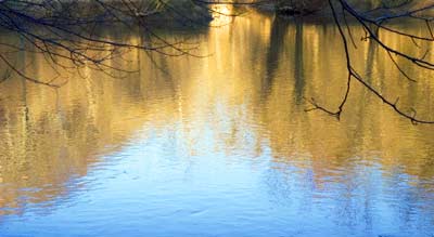 photo: Reflections in water