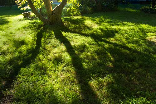 photo: warm sunlight falling from the sky