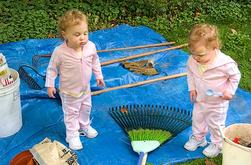 photo: twins in pink