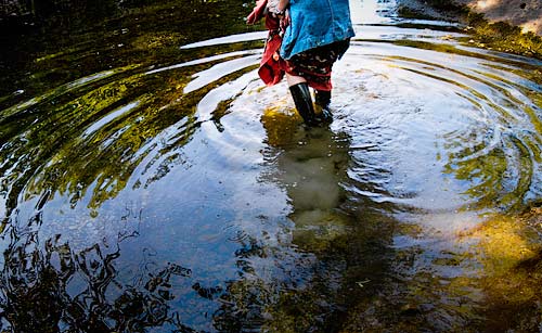 Woman wading in ripples