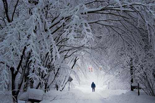 young man in snow