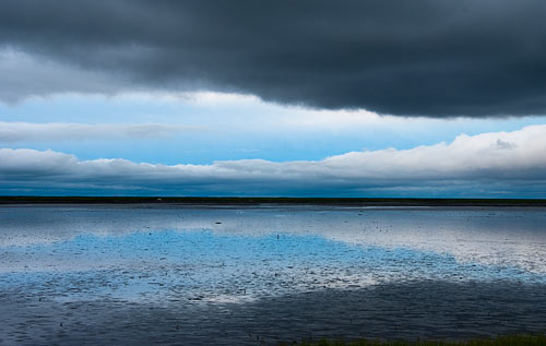 Bombay Hook National Wildlife Refuge, 2009