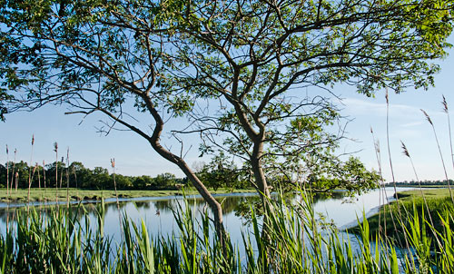 Photo: Stow Creek, south of Canton, New Jersey