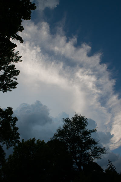 Summer Thunderstorm