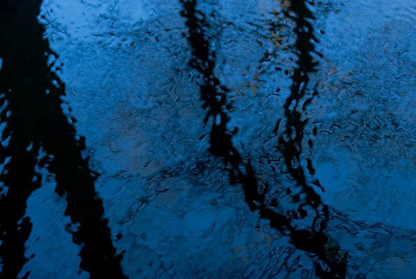 Reflected trees, race at Brandywine Park, Wilmington, DE