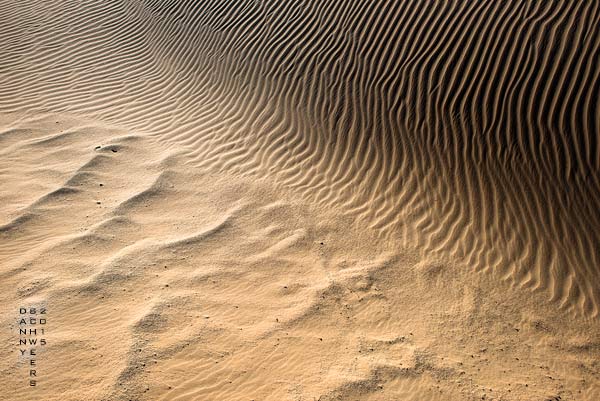 North Algodones Dunes Wilderness Area California