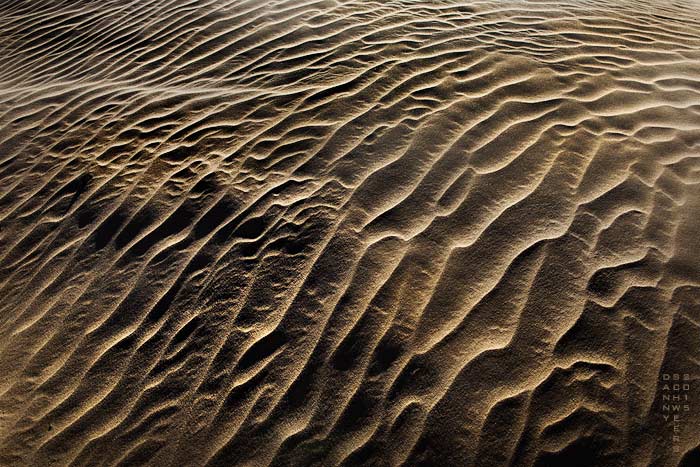 North Algodones Dunes Wilderness Area California