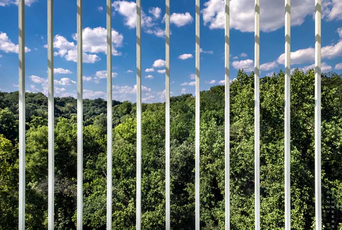 Rock Creek Park seen thru the bars of the Duke Ellington Memorial Bridge in Washington, D.C. by Danny N. Schweers