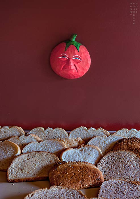 Photo of bread slices drying before going into turkey stuffing by Danny N. Schweers.