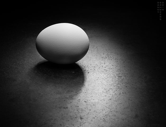 Photo of an egg on a steel plate by Danny N. Schweers.
