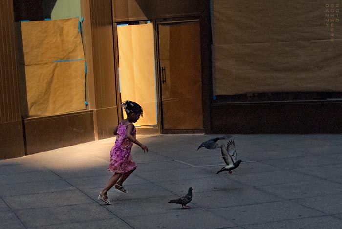 Photo of girl chasing pigeons in Manhattan by Danny N. Schweers
