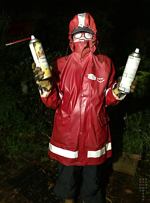 Photo of a destroyer of Yellow Jacket nests by Danny N. Schweers