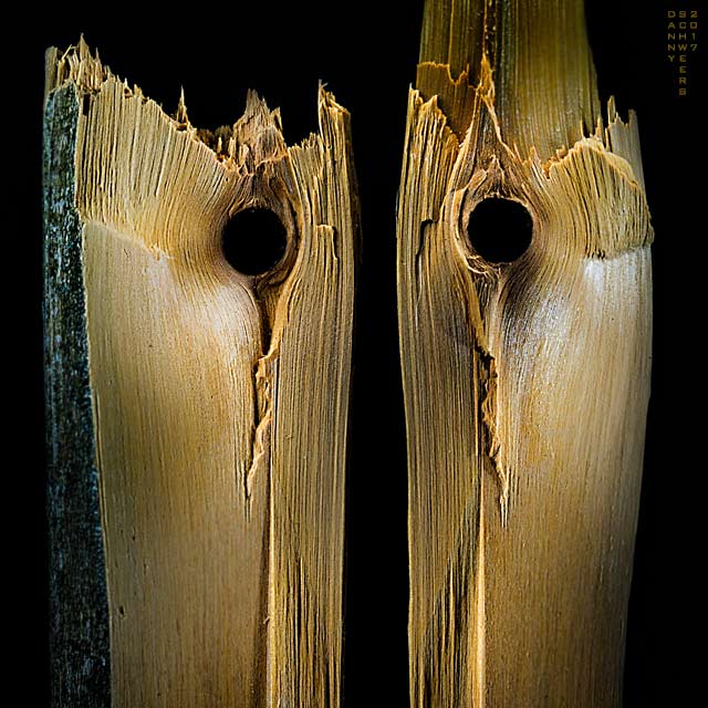 Photo of split wood by Danny N. Schweers, copyright 2017