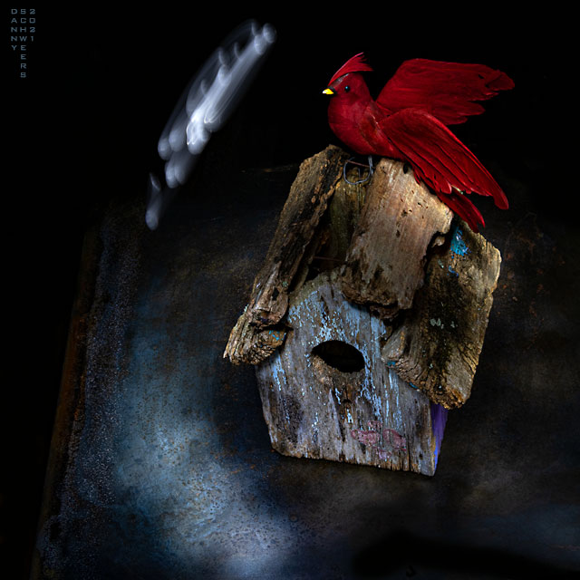 Photo of a decrepit bird house, Arden, Delaware by Danny N. Schweers 2021