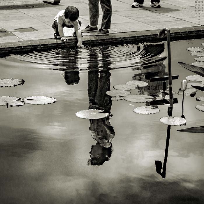 Photo of child making ripples in a pond at Longwood Gardens, Pennsylvania, copyright 2016 by Danny N. Schweers