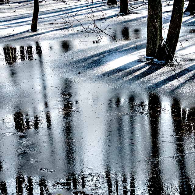 Photo of shadows and reflections at Bombay Hook Wildlife Preserve, Delaware copyright 2019 by Danny N. Schweers.